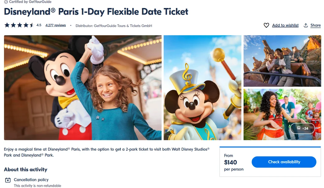 Ticket page showing Mickey Mouse with a child, Disney characters, and park attractions