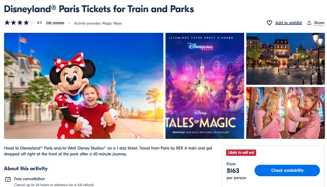 Disneyland Paris ticket with RER train transfer showing Minnie Mouse & park scenes